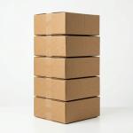 Corrugated Packaging Boxes