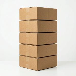 Corrugated Packaging Boxes